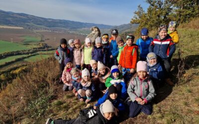 Lesná pedagogika
