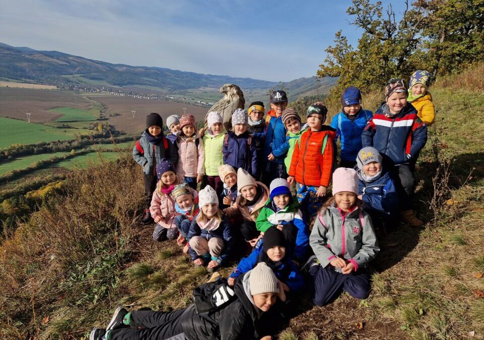 Lesná pedagogika